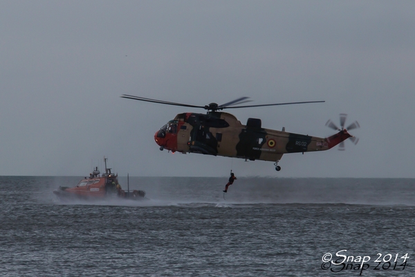 Nieuwjaars duik -3396