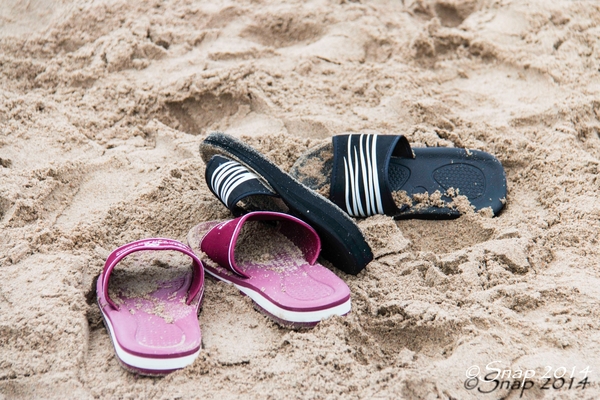 Nieuwjaars duik -3449