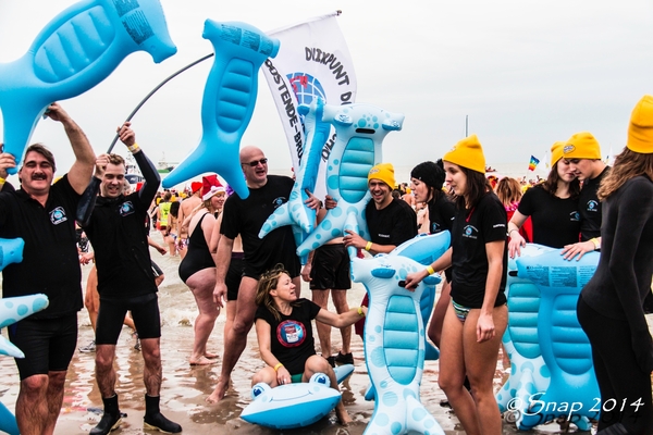 Nieuwjaars duik -3457