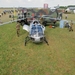 IMG_6781 (Large)