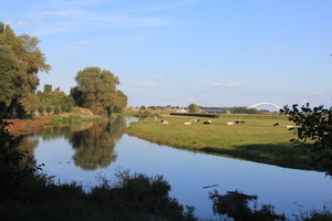 Oude Leie in Oeselgem met zicht op Olsene brug