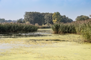 Oude Leievallei  in Sint Baafs-Vijve