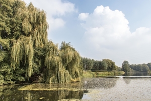 Oude Leievallei  in Sint Baafs-Vijve