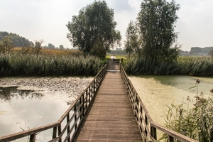 Oude Leievallei  in Sint Baafs-Vijve bij Andre' Demedtshuis