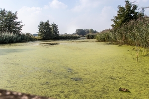 Oude Leievallei  in Sint Baafs-Vijve