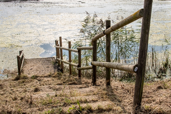 Oude Leievallei  in Sint Baafs-Vijve