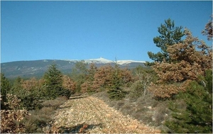 Mont Ventoux