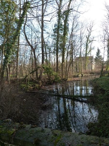 48-Vijver rond Hof ter Bruggen