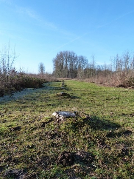 53-Natuurgebied Silsembos