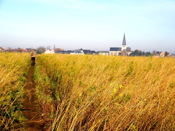 wandeling aktivia steenokkerzeel marche