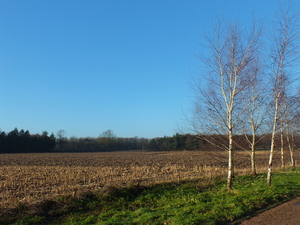 wandelingkanaal 007