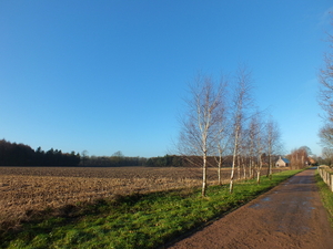 wandelingkanaal 009