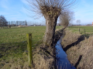 landschap 004