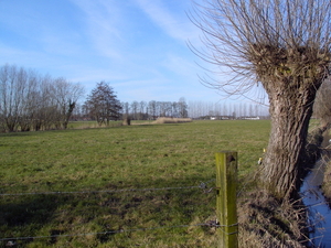 landschap 005