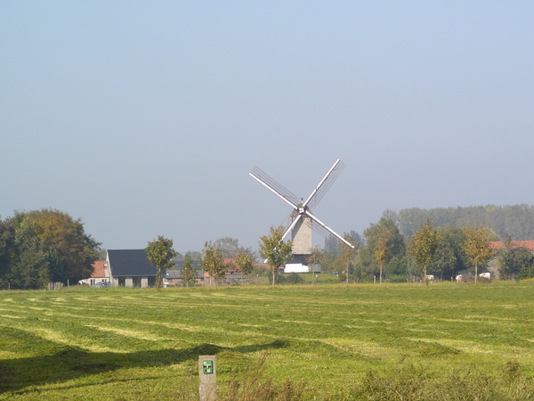 OPGRAVINGEN WOESTIJNE 008