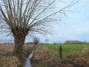 wandeling23dec13 003