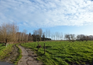 WANDELING19DEC13 002-1