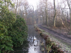 Deurne Januari 2014 004