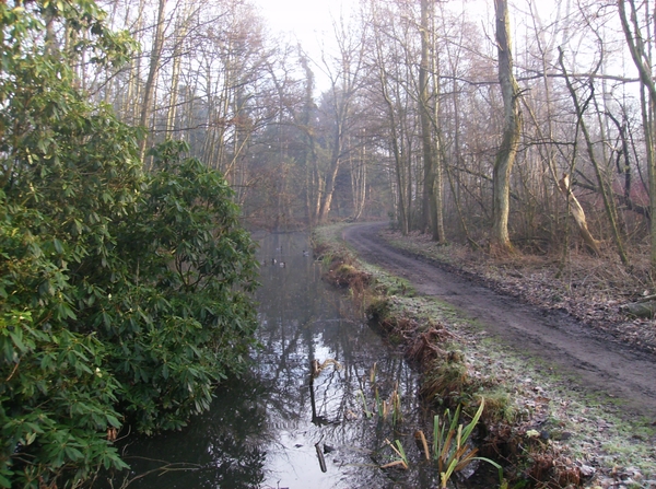 Deurne Januari 2014 004