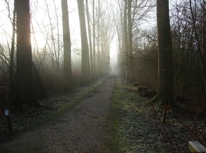 Deurne Januari 2014 006