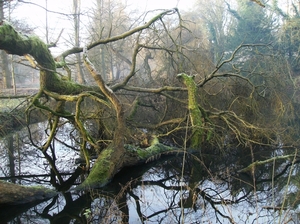 Deurne Januari 2014 014