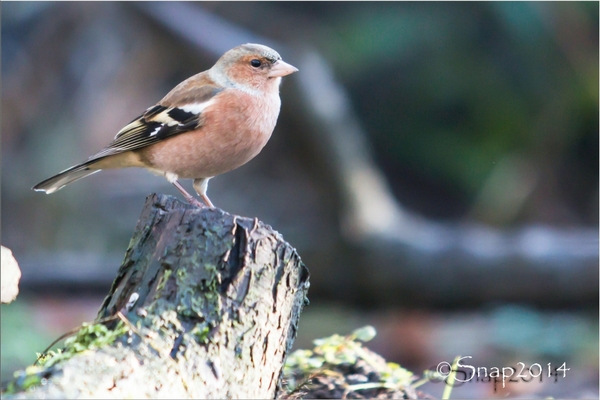 sized_IMG_3546-2 kopie