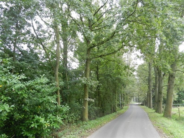 20130922.Heusden.WOII 40-44 005 (Medium)