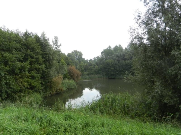 20130922.Heusden.WOII 40-44 018 (Medium)