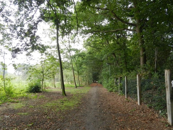 20130922.Heusden.WOII 40-44 028 (Medium)