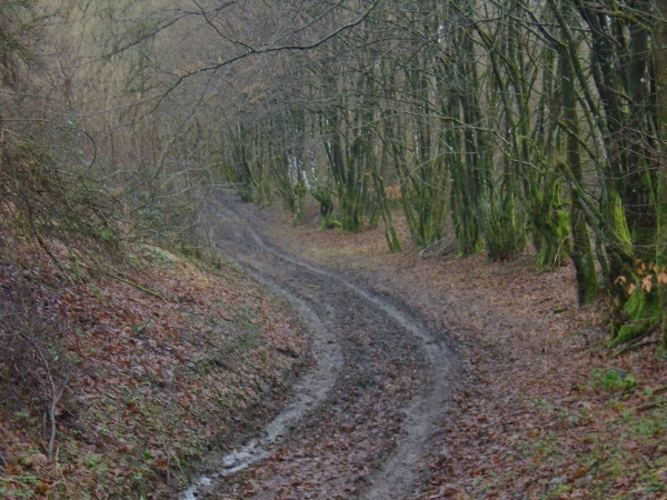 2014-01-16 KKT Somme Leuze_0003