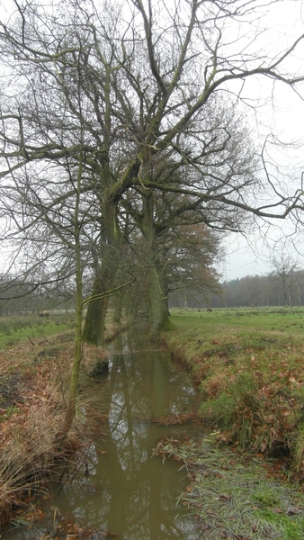 Wandeling René december 2013 056