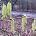 P1370785