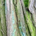 P1370788