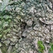 P1370789
