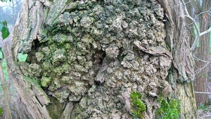 P1370789