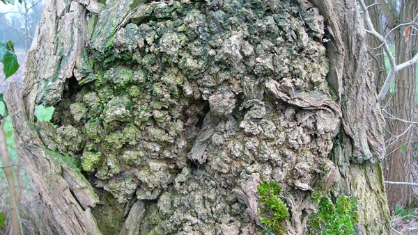 P1370789