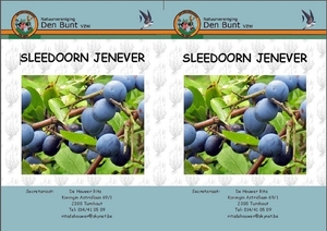 SLEEDOORN JENEVER