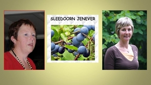 Spek- en Jeneverwandeling