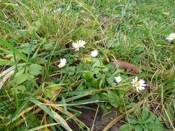 034-De lente of de winter.....