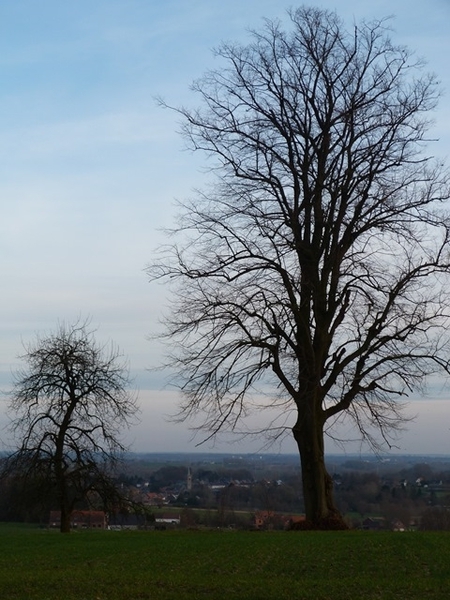 087-Terug naar Flobecq