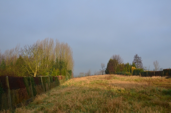 001 DIES VLAANDERS LAND !