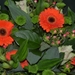 019