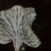 038