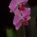 039