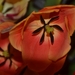 041