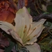 060