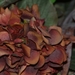 061