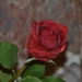 065