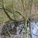 003  HET GRAUWE.....