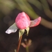 060